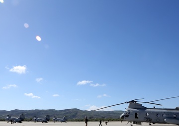 Purple Foxes &quot;Fly the Barn&quot;