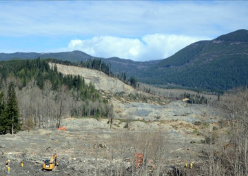 Oso Mudslide