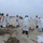 National Seashore Park oil cleanup