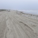 National Seashore Park oil cleanup