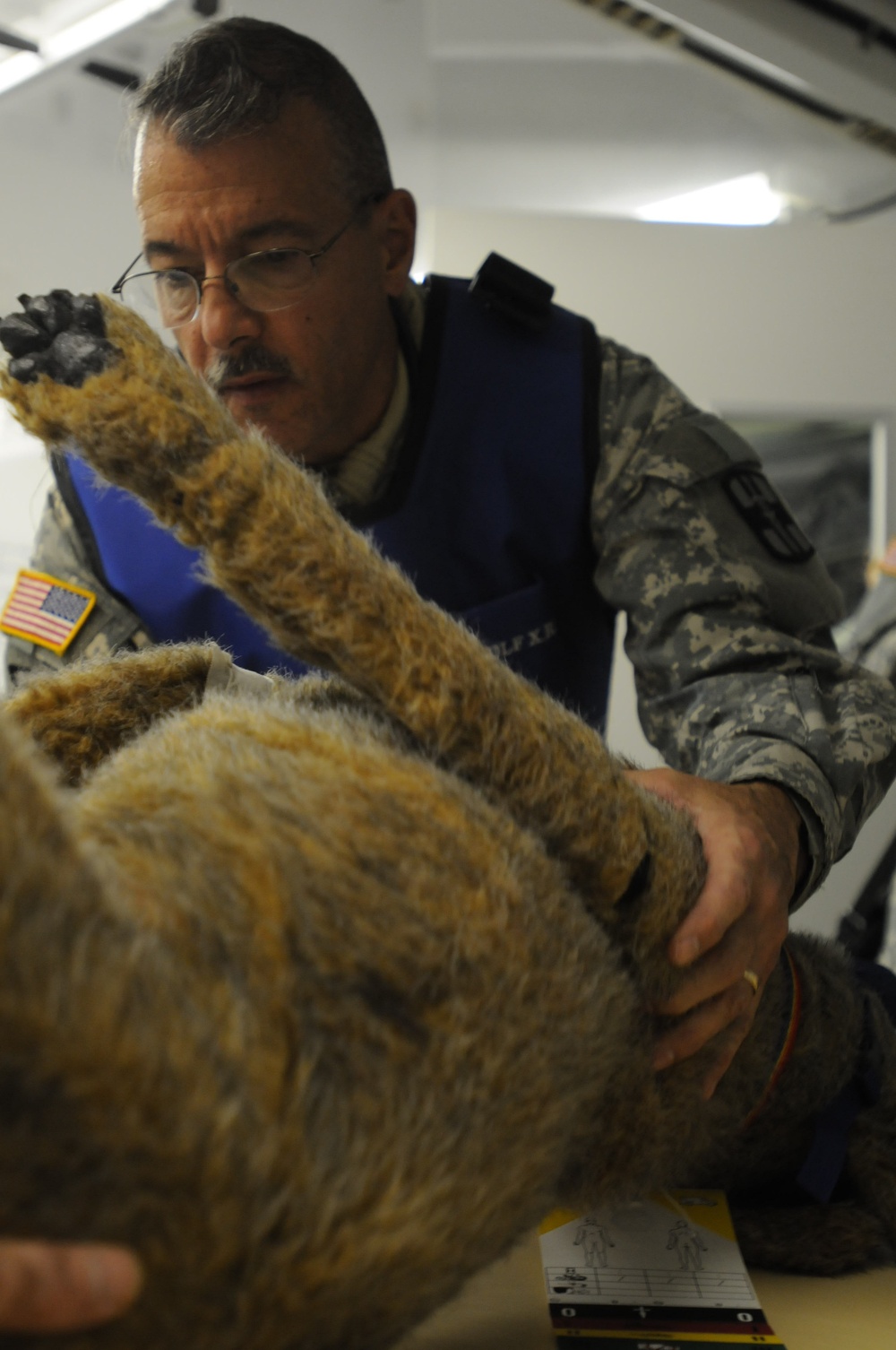 Veterinarian unit gets realistic training caring for injured military working dogs