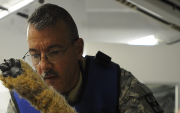 Veterinarian unit gets realistic training caring for injured military working dogs