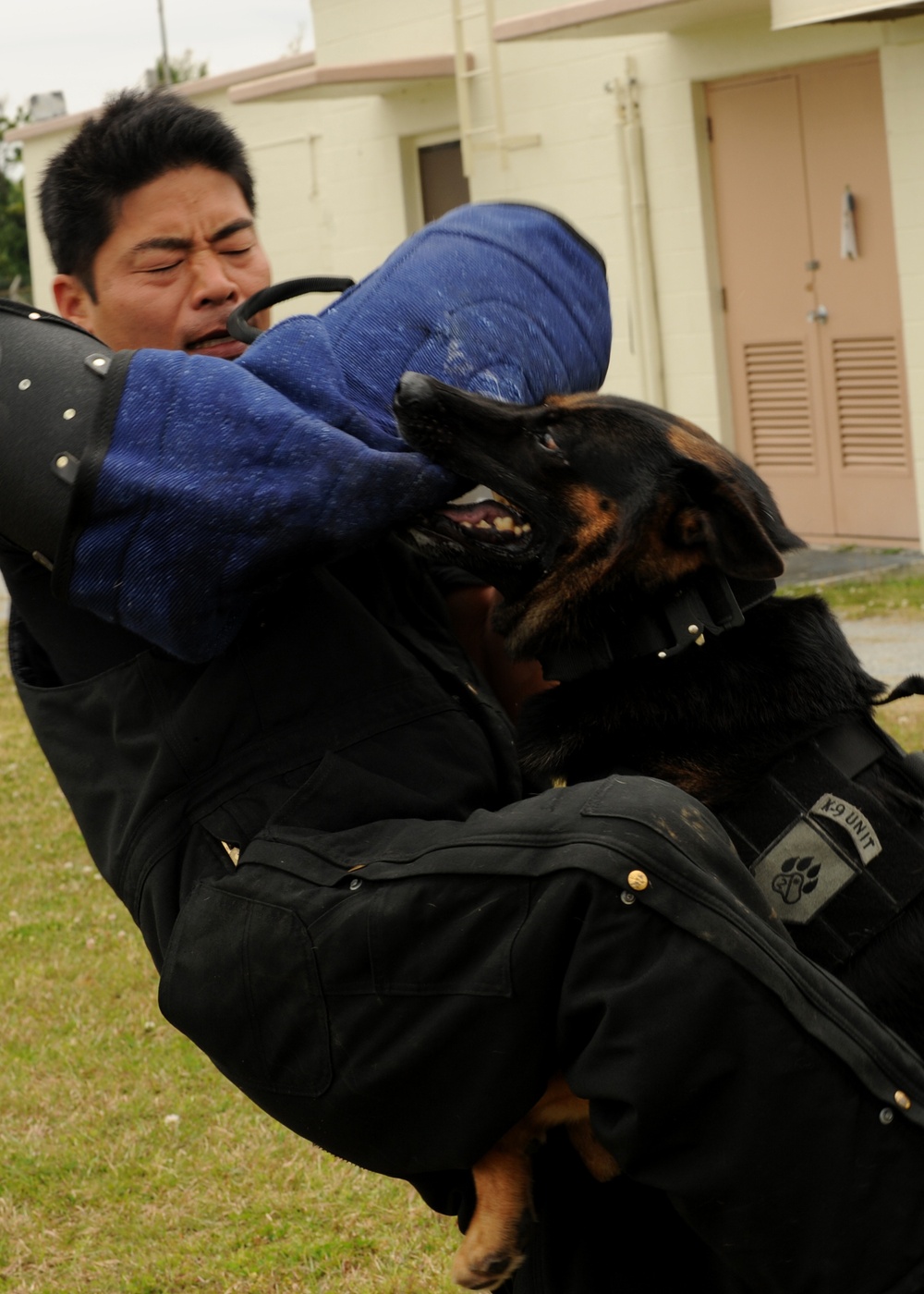 MWD: The road to certification