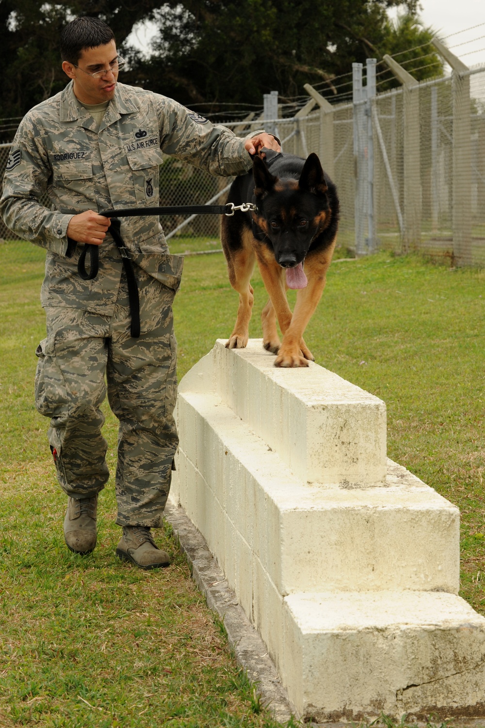 MWD: The road to certification