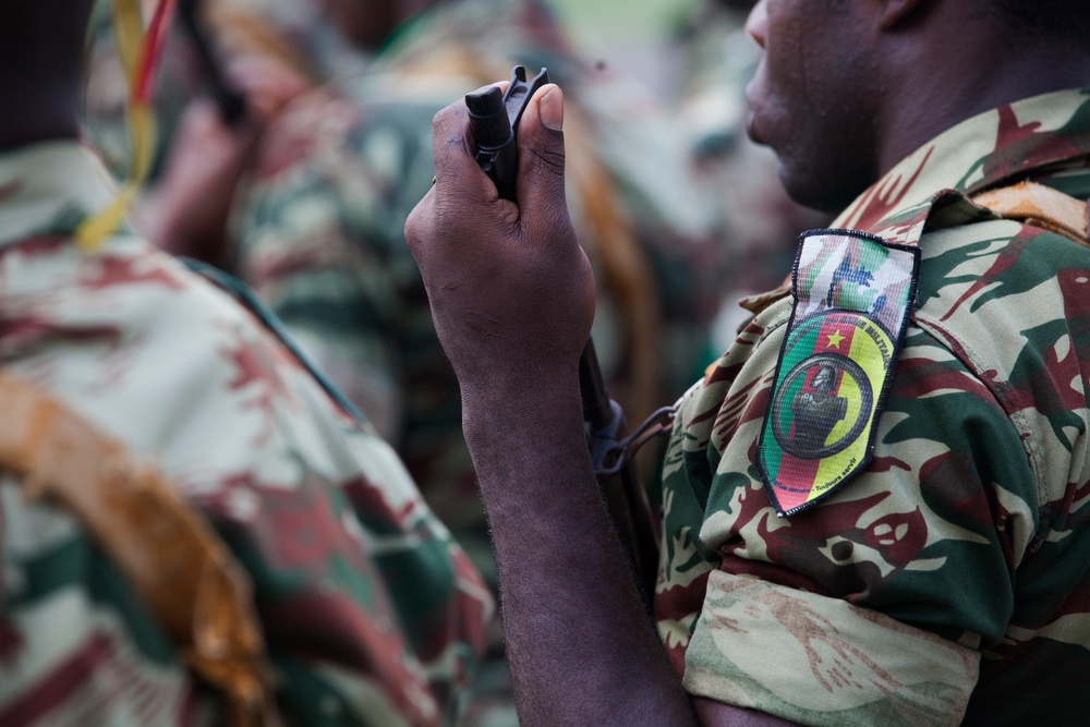 Central Accord 14: A partnership for a safe, stable, and secure Africa