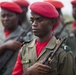Central Accord 14: A partnership for a safe, stable, and secure Africa
