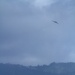 Bomber Training Flight