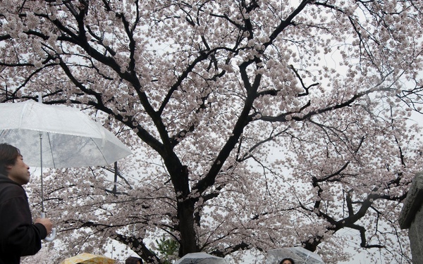 NAF Atsugi Twitter tour