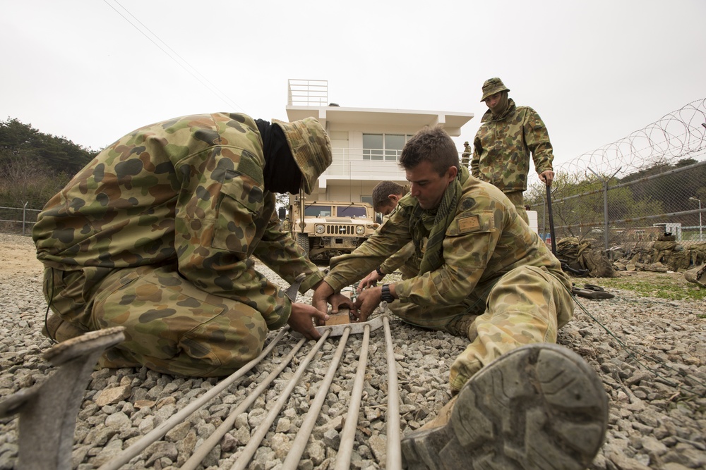 Australia, ROK Marines MOUT Training during Ssang Yong 14