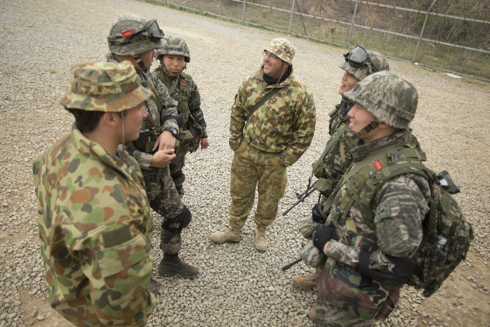 Australia, ROK Marines MOUT Training during Ssang Yong 14