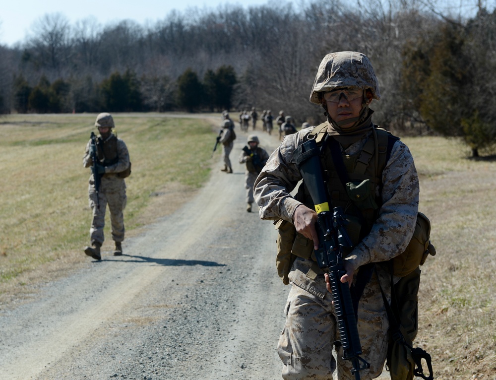 Finance Marines conduct field Op