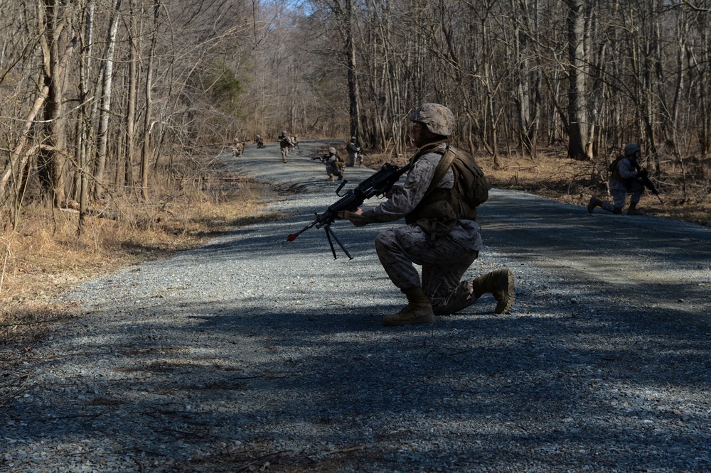 Finance Marines conduct field Op