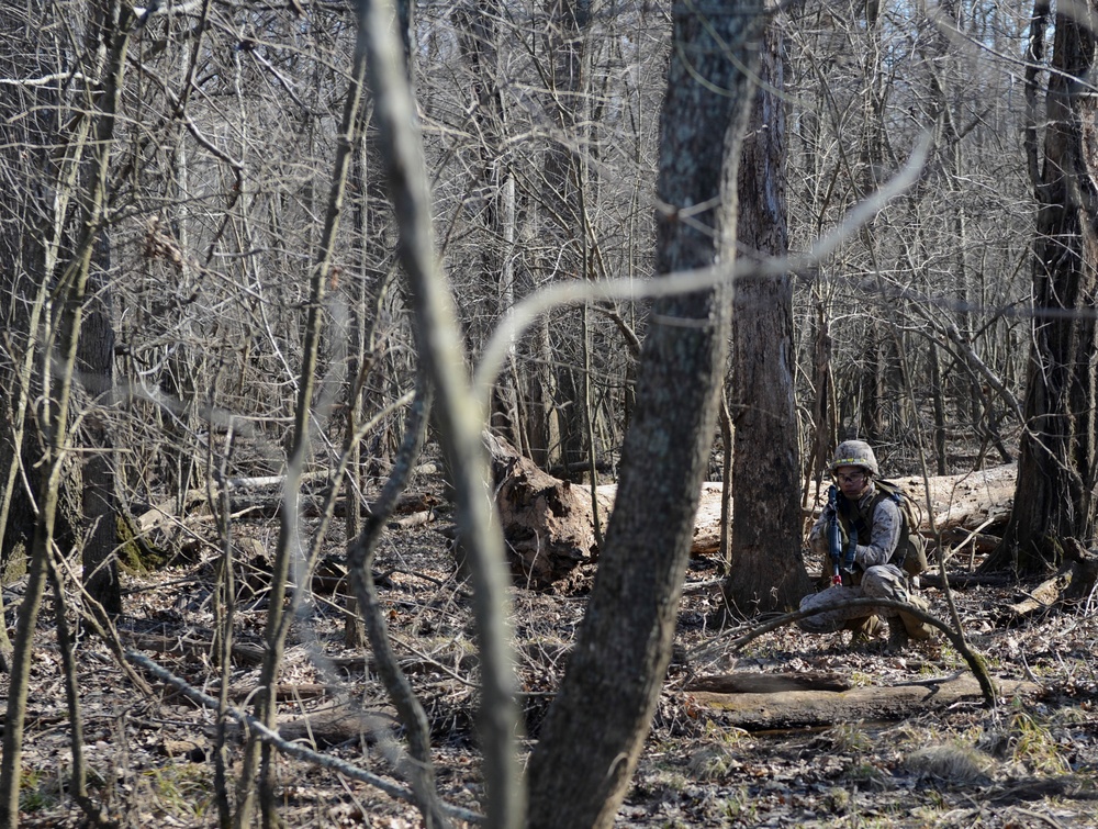 Finance Marines conduct field Op