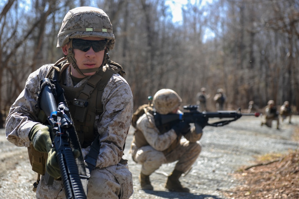 Finance Marines conduct field Op