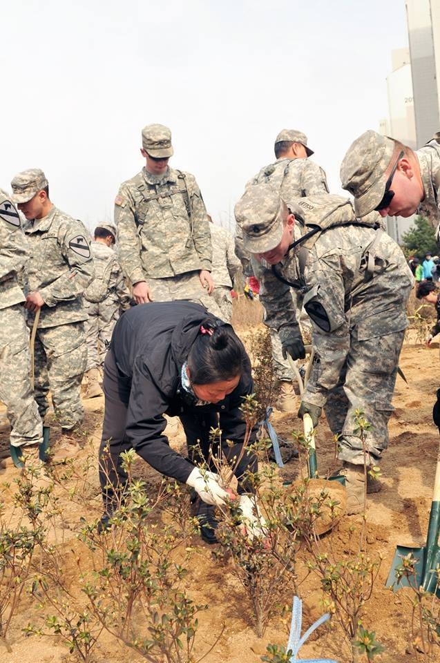 Cavalry Soldiers plant trees in Korea