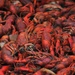 Crawfish Festival