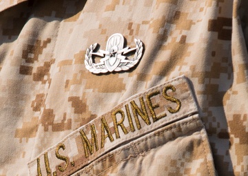 Explosive Ordnance Disposal Marine awarded Bronze Star