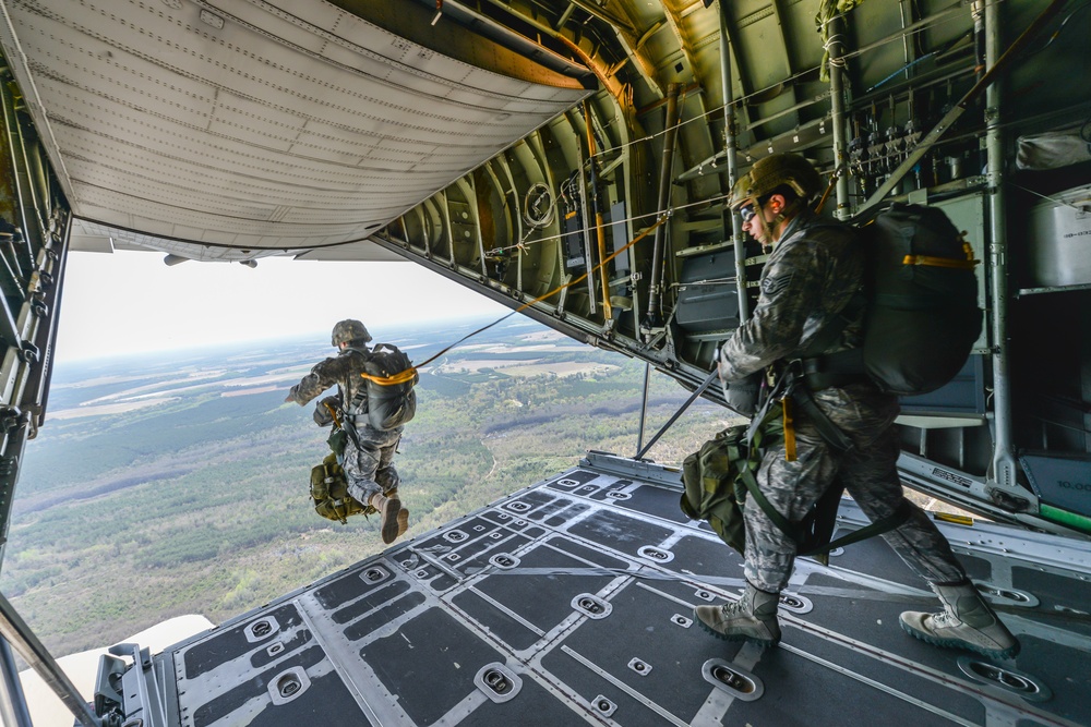 Georgia Army and Air Guard jump together over Sylvania