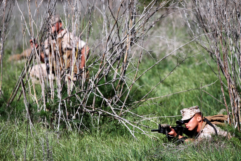 Urban Combat Training