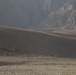 Live stock graze a field