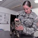Army veterinarians improve health and morale in Sinai Peninsula