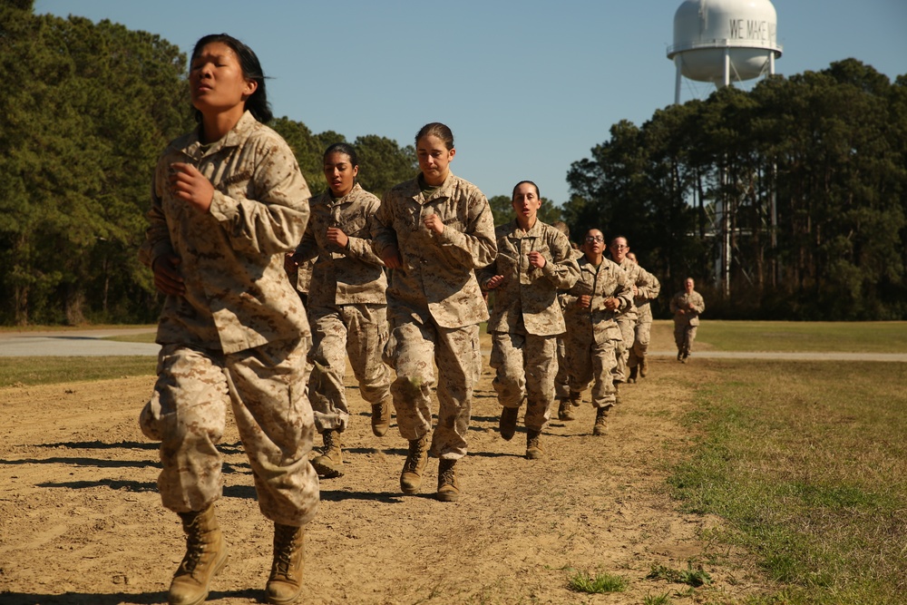 Photo Gallery: Marine recruits endure martial arts course on Parris Island