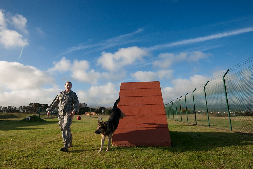 MWD Dan retires after 9 years in USAF