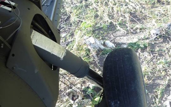 $29 million of marijuana destroyed in Joint Task Force-Bravo supported marijuana eradication operation in Belize