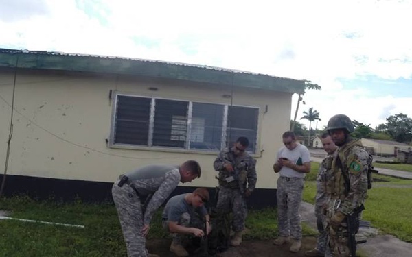 $29 million of marijuana destroyed in Joint Task Force-Bravo supported marijuana eradication operation in Belize