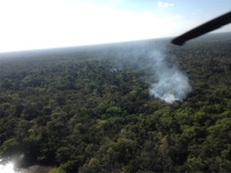 $29 million of marijuana destroyed in Joint Task Force-Bravo supported marijuana eradication operation in Belize