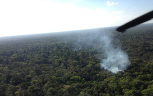 $29 million of marijuana destroyed in Joint Task Force-Bravo supported marijuana eradication operation in Belize
