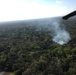 $29 million of marijuana destroyed in Joint Task Force-Bravo supported marijuana eradication operation in Belize