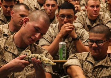 Marines get a handle on Australian wildlife