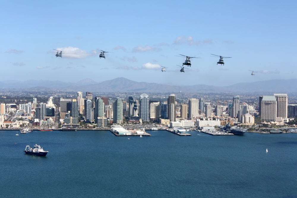 Purple Foxes &quot;Fly the Barn&quot;