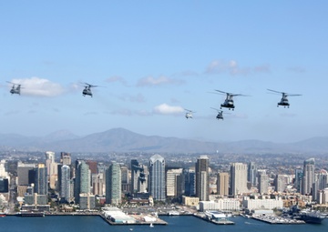 Purple Foxes &quot;Fly the Barn&quot;