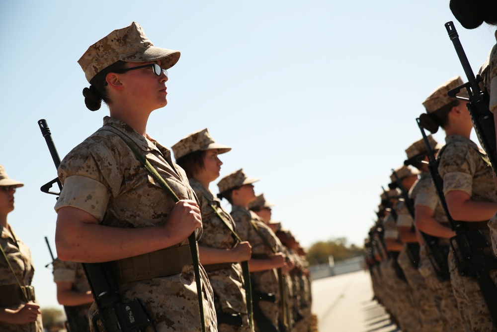 Photo Gallery: Marine recruits display teamwork, cohesion during drill evaluation on Parris Island
