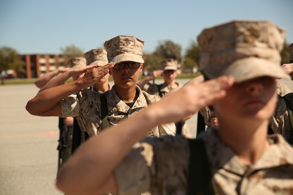 Photo Gallery: Marine recruits display teamwork, cohesion during drill evaluation on Parris Island