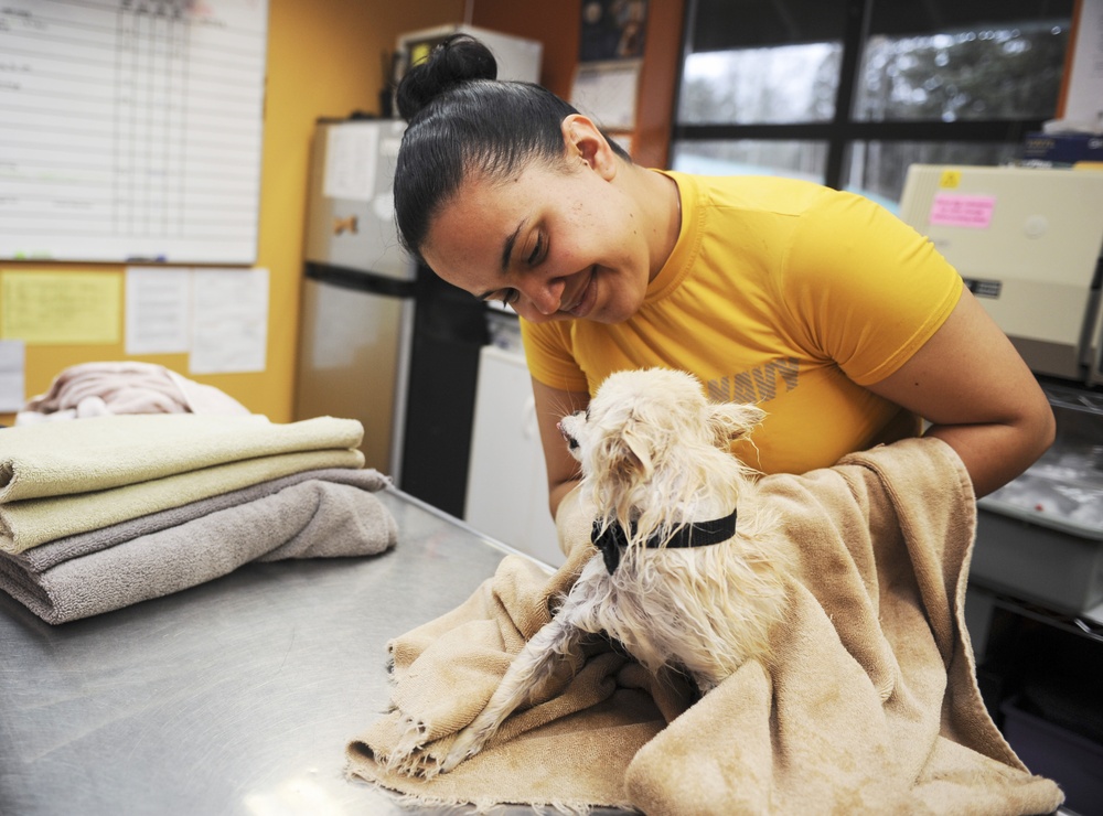 USS Nimitz sailors volunteer at Northwest Organization for Animal Help