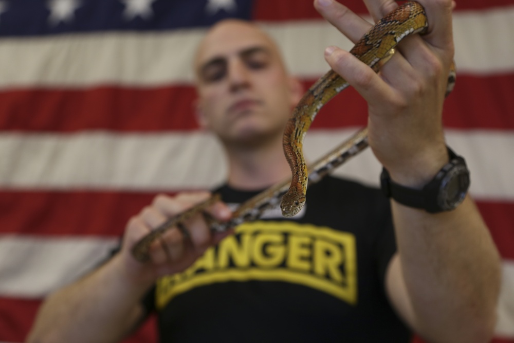 Army Ranger Reptile Team