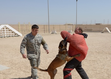 MWD demos capabilities