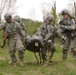 Company C, 2nd Battalion, 503rd Infantry Regiment, 173rd Infantry Regiment Combat Team (Airborne), conduct infantry training near Osoppo, Italy