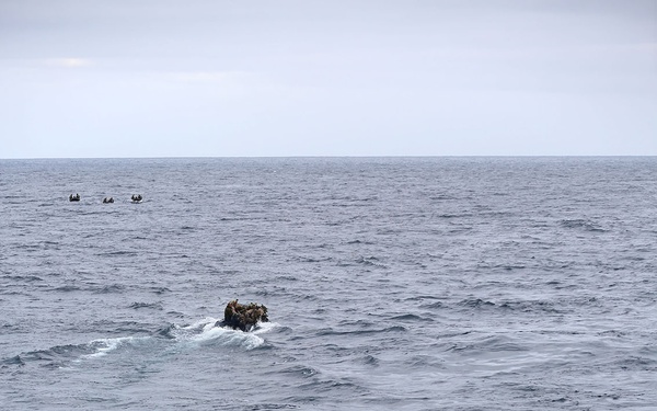 11th MEU raid force conducts VBSS