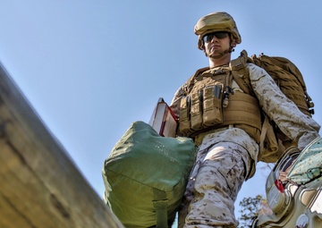 The Military and family life counseling program