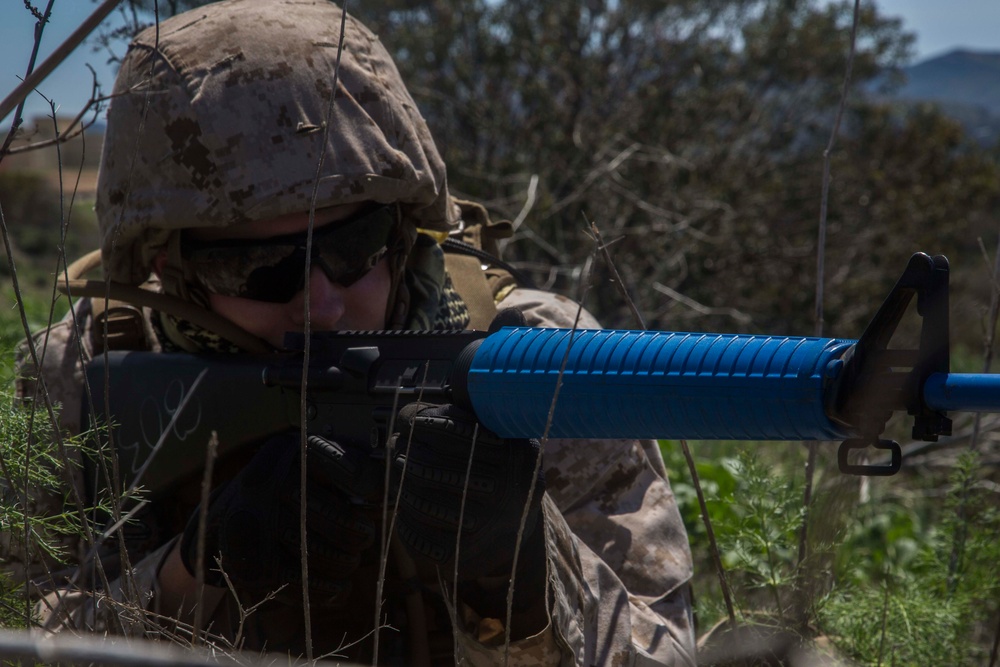 Operation Vigilant