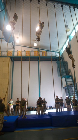 Geronimo battalion conducts meritorious sergeant board