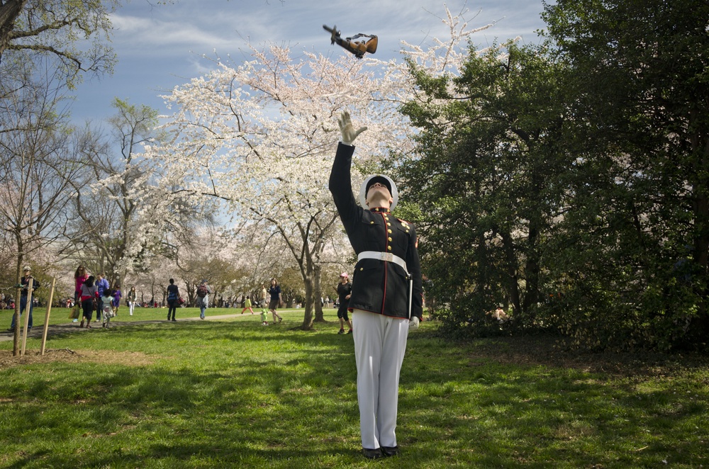 Silent Drill Platoon performs during Cherry Blossom Festival