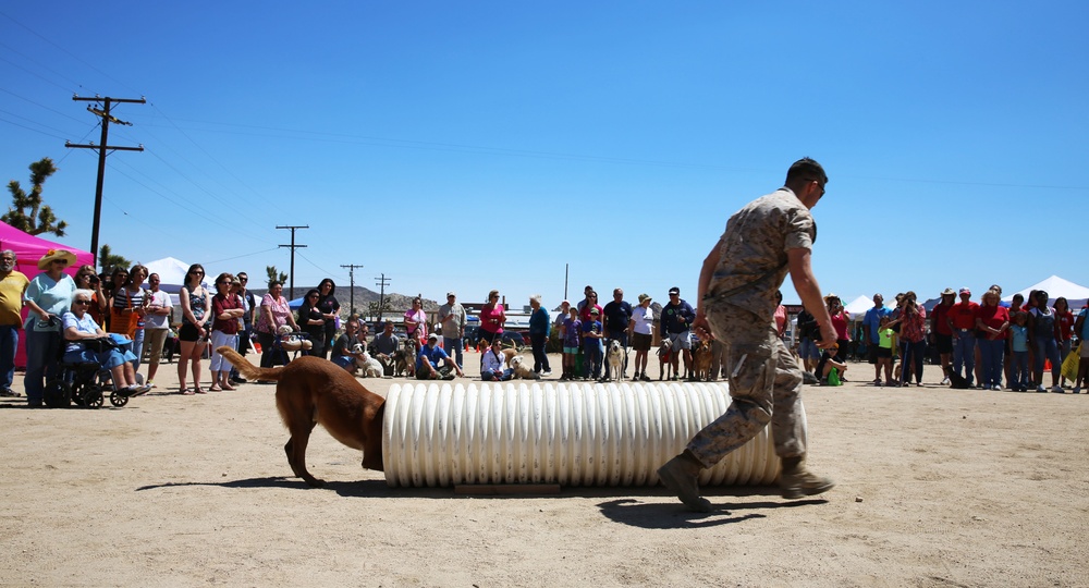 Marines make first appearance at Woof Walk