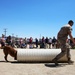 Marines make first appearance at Woof Walk