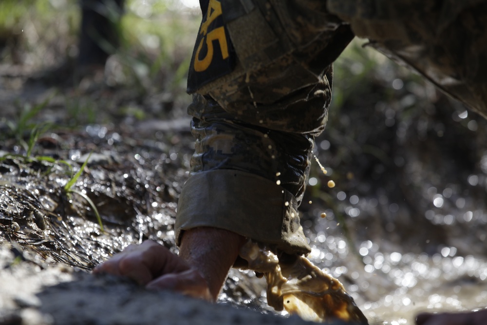 Crawling through the mud