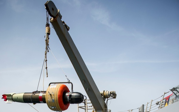 USS Roosevelt operations